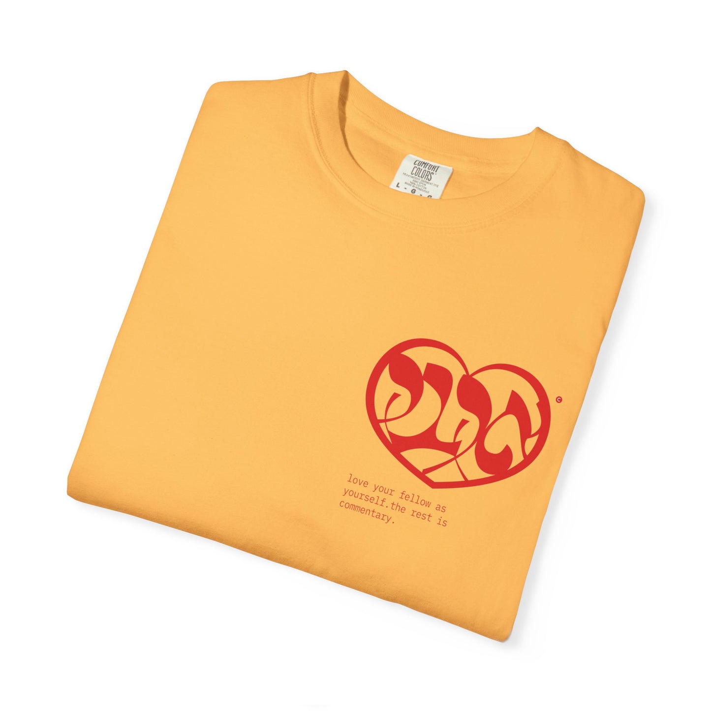 AHAVA T-Shirt — the cosmic code for Love.