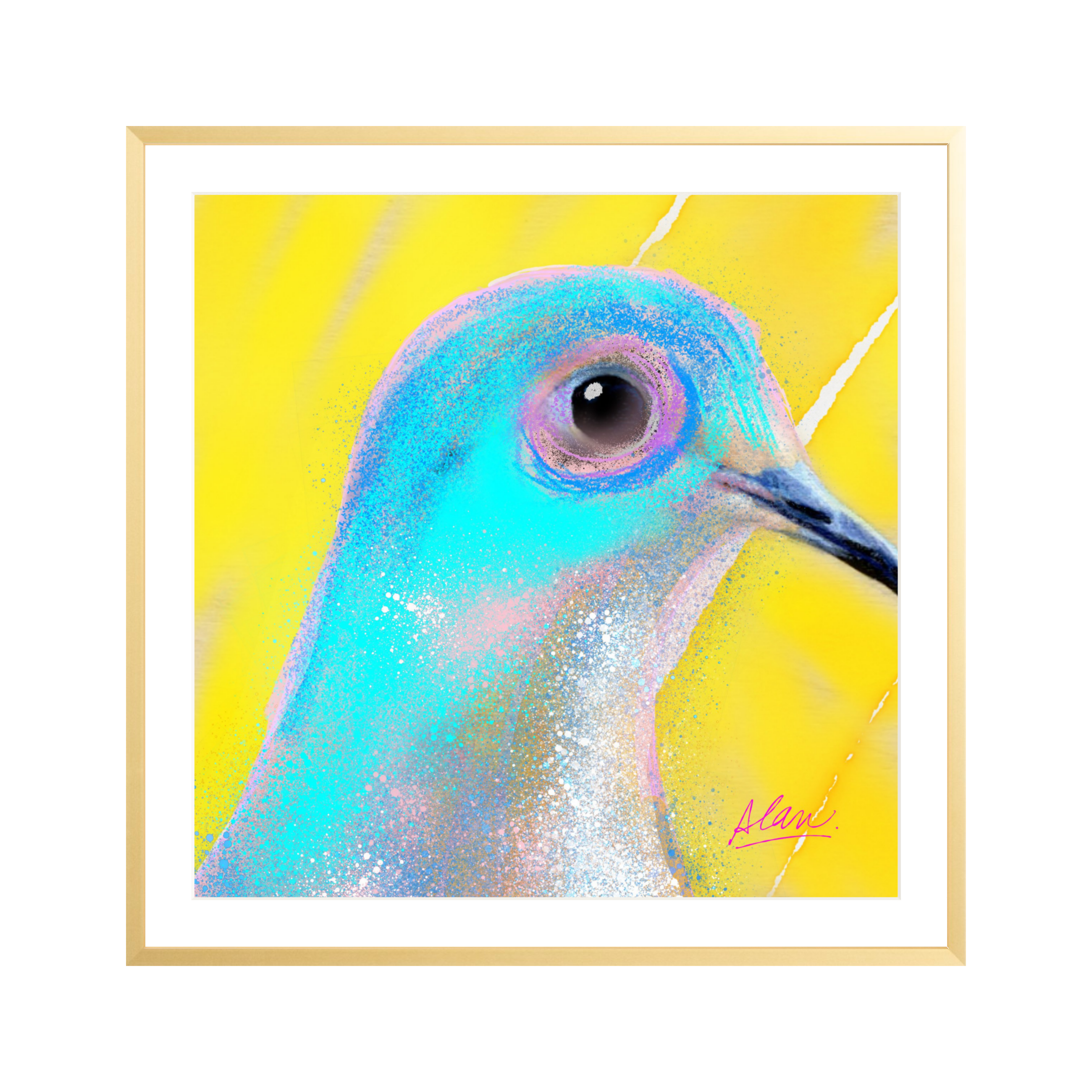 Bird of Peace III